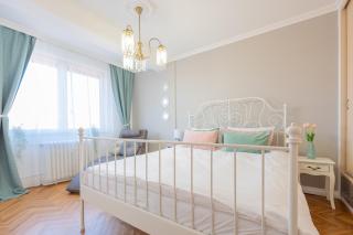 Haga Flat - Oradea - 8