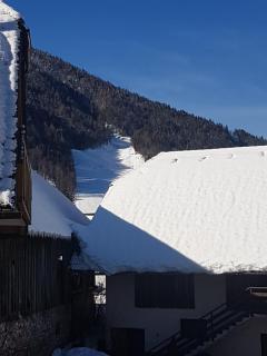 Mountain Charm - Kranjska Gora - 5