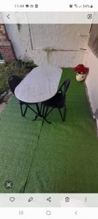 Fleurs de lotus 1 - Romilly-sur-Seine - 2