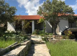 KALIVI Traditional Olive Farm Guest House - Chóra - 9