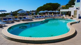 Hotel La Ginestra - Ischia - 9