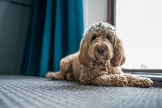 Rutland Hall Hotel - Oakham - 7