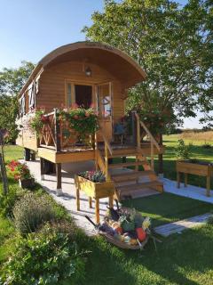 LA ROULOTTE DE FLORETTE avec jacuzzi gratuit - Soings-en-Sologne - 9