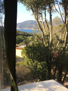 LODGES SAFARI LES LAURIERS SUR îLE DU LEVANT - 6