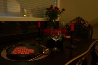 Magnifique Villa le89golden jacuzzi et sauna privatif - Mulhouse - 6