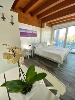 Agriturismo Albana - Castiglione delle Stiviere - 5