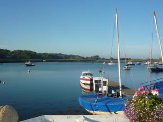 3 Harbour Strand - 9