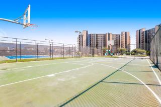 Sea Colony - 54049 Seashell - 2