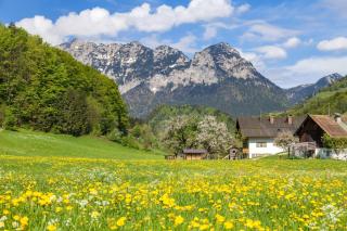 Gästehaus Anfanglehen - 7