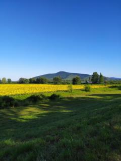 Napraforgó apartman Tokaj - Tokaj - 9