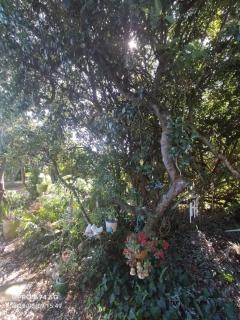 Welbedacht Estate Self catering Accommodation - Port Elizabeth - 7