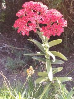 Welbedacht Estate Self catering Accommodation - Port Elizabeth - 5
