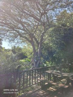 Welbedacht Estate Self catering Accommodation - Port Elizabeth - 2