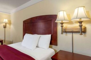 La Quinta by Wyndham Dodge City - Dodge City - 3