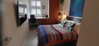 Comfortable Room With Ensuite - Londra - 0