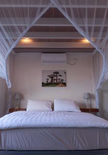 Coral Tree Surf Cottage - Tofinho, Tofo - 9