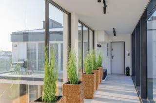 Noir Hotel - Penthouse Apartman - Szeged - 9