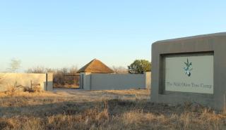 The Wild Olive Tree Camp - Riserva di Caccia Manyeleti - 6