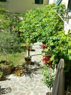 Toscani da sempre - Pontassieve - 6
