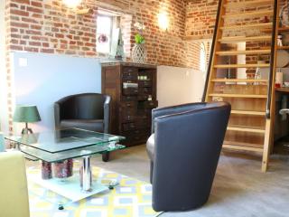 Gîte atypique, 2 pers., Terrasse privée, Parc naturel Scarpe-Escaut, prox. Saint-Amand-les-Eaux - FR-1-510-38 - Haveluy - 9