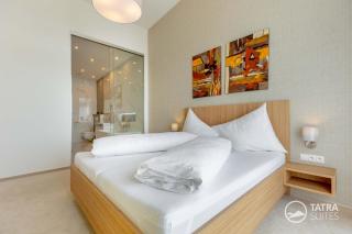 TATRA SUITES Senior Lux Apartment C413 - Starý Smokovec - 6