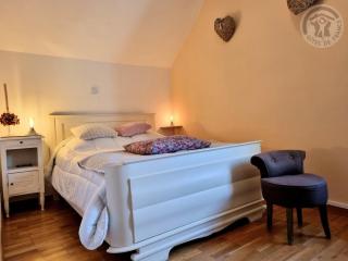 Gîte paisible avec jardin privé, cheminée et équipements modernes au cœur du Parc Naturel de l'Avesnois - FR-1-510-98 - Choisies - 9