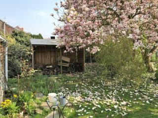 Gîte paisible avec jardin privé, cheminée et équipements modernes au cœur du Parc Naturel de l'Avesnois - FR-1-510-98 - Choisies - 2
