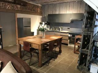 Gîte dans une écurie rénovée avec jardin privé, clim, parking et WIFI - FR-1-510-150 - Flines-lès-Mortagne - 0