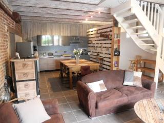Gîte dans une écurie rénovée avec jardin privé, clim, parking et WIFI - FR-1-510-150 - Flines-lès-Mortagne - 1