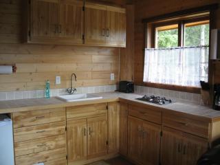 Tschurtschenthaler Rentals - 5