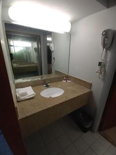 Travelodge by Wyndham Petersburg - Petersburg - 9