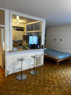 Beautiful Large Studio in center of Geneva Free Wifi - Geneva - 7