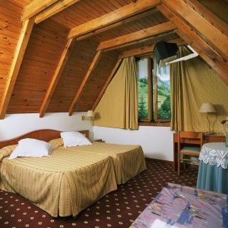 Hotel Edelweiss - Arties - 0