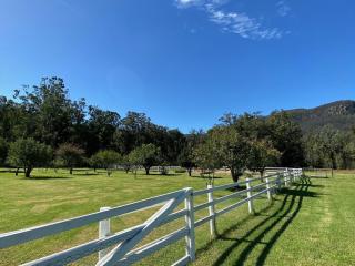 The Hamilton Kangaroo Valley - Kangaroo Valley - 2