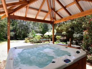 Orange Blossom House - Kangaroo Valley - 9
