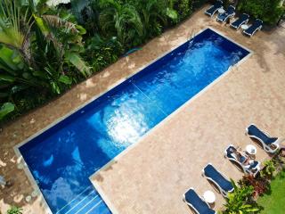Agincourt Beachfront Apartments - Clifton Beach - 1