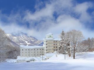 Ryuo Mountain Hotel - Shimotakai - 0