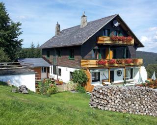 Schwarzwald-Chalet Feldberg - Feldberg - 7