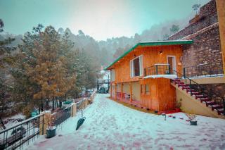 THEHIMALAYANLIVING WHISTLING PINES - 0