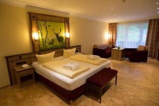Wald-Hotel Heppe - Dammbach - 7