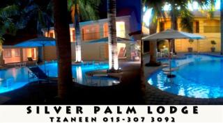 @ SILVER PALMS LODGE - Tzaneen - 6