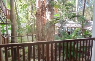 REEF RETREAT APARTMENTS PALM COVE Unit 11 - Palm Cove - 2