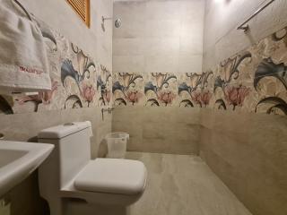 The Ireland - Manali - 1