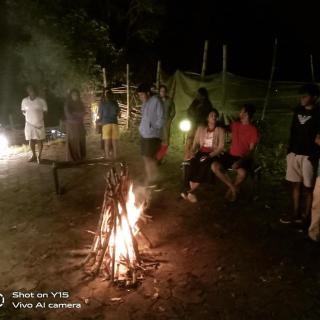 Mist WOODS VAGAMON - Vagamon - 6
