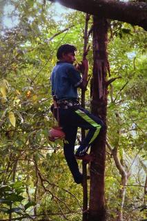 Kandy Nature Resort - Ampitiya - 8