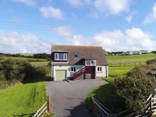 Primrose Cottage - Haverfordwest - 0
