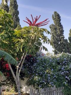 Chalet Zorollo con piscina - 2