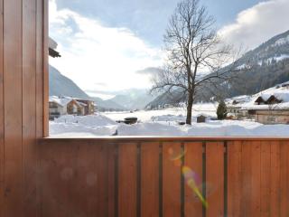 Apartment Lazzer-2 by Interhome - 9