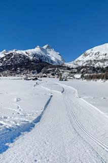 Apartment Residenza Chesa Margun 13-5 by Interhome - Surlej - 2