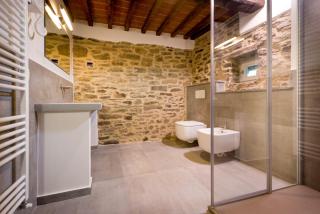 fringuello - Mandorlo - Cortona - 3